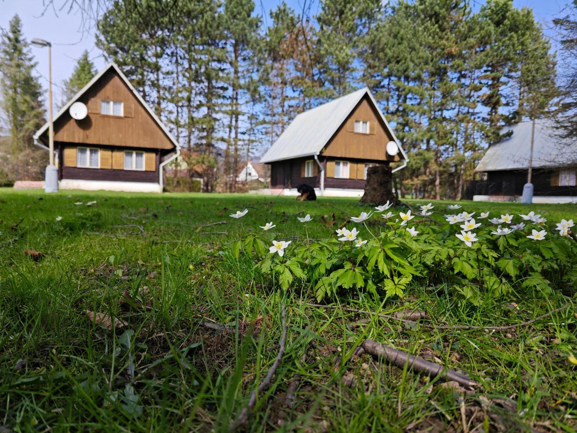 Rožnov pod Radhoštěm Bungalovy Roznovヴィラ エクステリア 写真